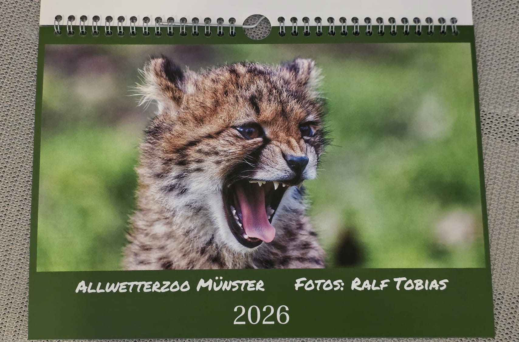 Foto Benefizkalender 2026 - Titelseite