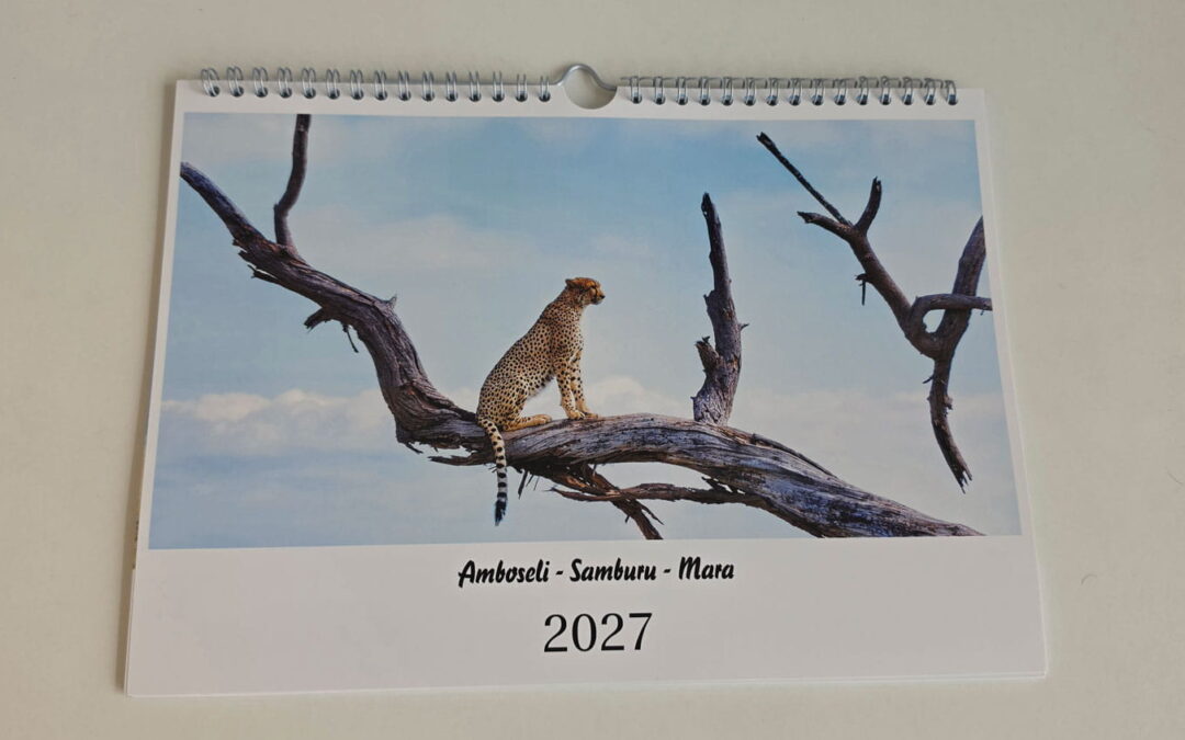 Der Benefizkalender 2027