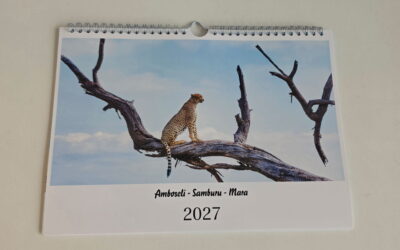 Der Benefizkalender 2027